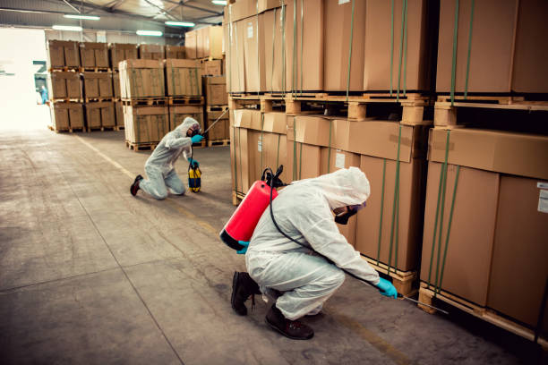 Best Rat Extermination Near Me  in Weyauwega, WI