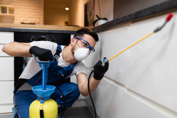 Best Bed Bug Extermination  in Weyauwega, WI