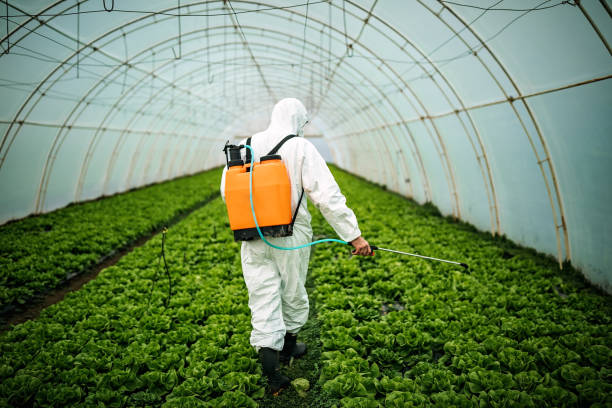 Pest Prevention Services in Weyauwega, WI