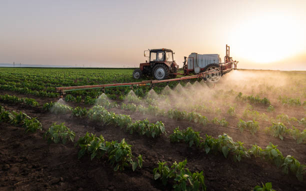 Best Mosquito Control Services  in Weyauwega, WI