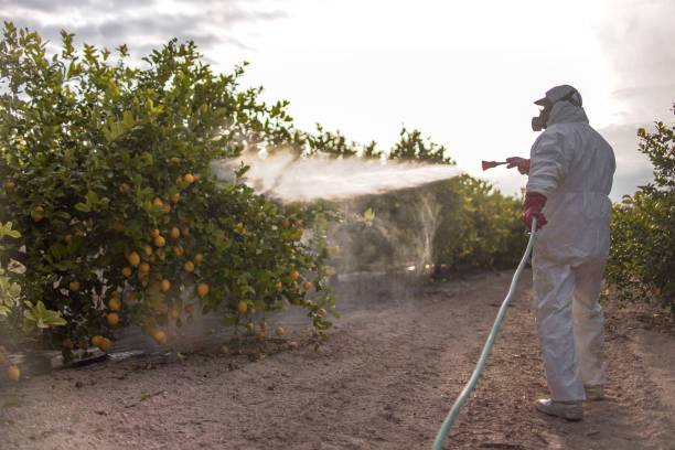 Best Wasp Removal Services  in Weyauwega, WI