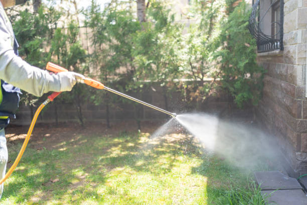 Best Local Pest Control Services  in Weyauwega, WI